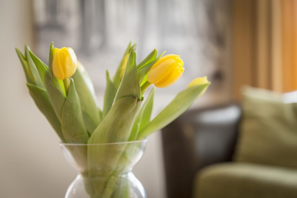 Saaresalu City Center Apartment Parnawa Zewnętrze zdjęcie